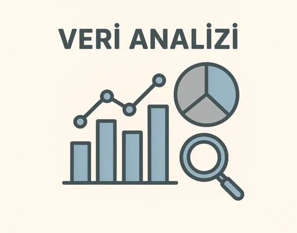 veri analizi